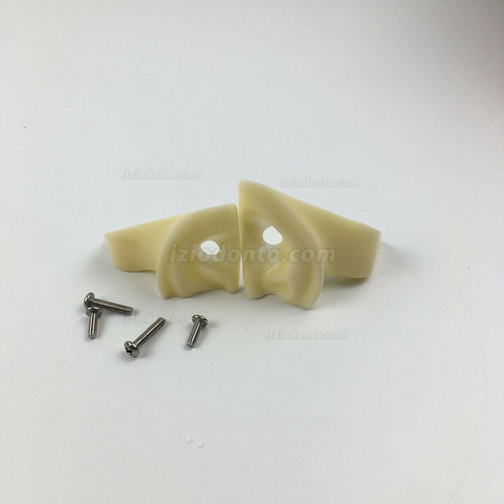Jingle JG-C1 Manequim Cabeca Para Dentista Manequim Odontologico Typodont Tipo de Grampo Typodont Compatível com Nissin 